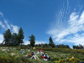 photo coins arrondis