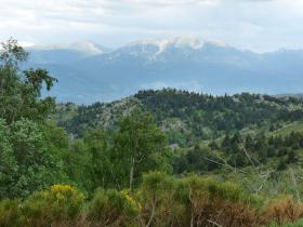 photo coins arrondis