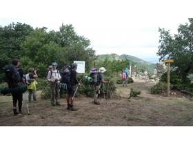 photo coins arrondis