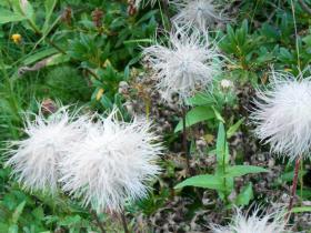 photo coins arrondis