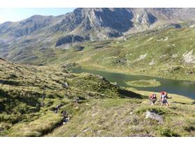 photo coins arrondis