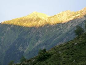 photo coins arrondis