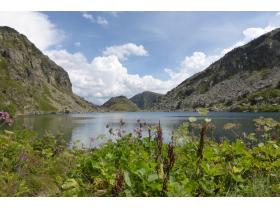 photo coins arrondis