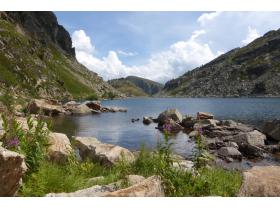 photo coins arrondis