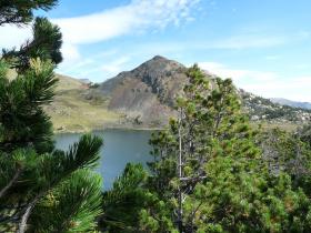 photo coins arrondis