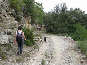 Image al&eacute;atoire