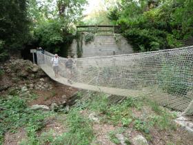 photo coins arrondis