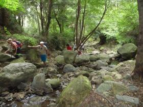 photo coins arrondis