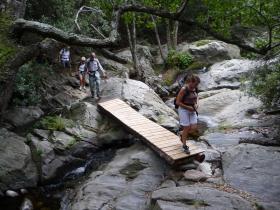 photo coins arrondis