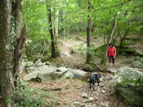 photo coins arrondis