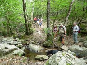 photo coins arrondis