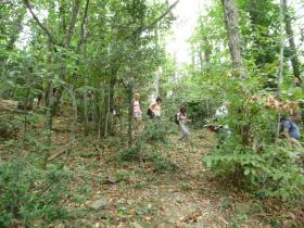 photo coins arrondis