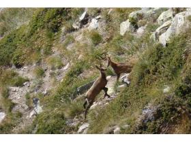 photo coins arrondis