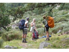 photo coins arrondis