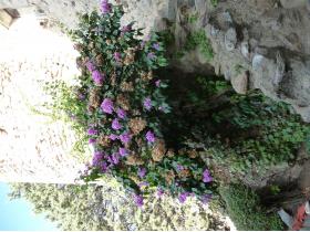 photo coins arrondis