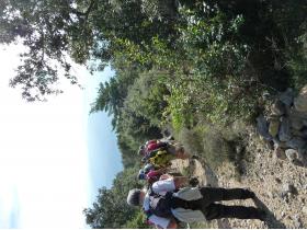 photo coins arrondis