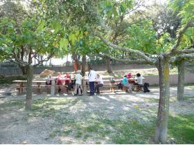 photo coins arrondis