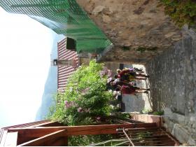 photo coins arrondis