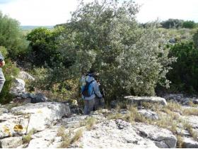 photo coins arrondis