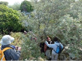 photo coins arrondis