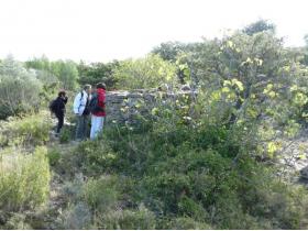 photo coins arrondis