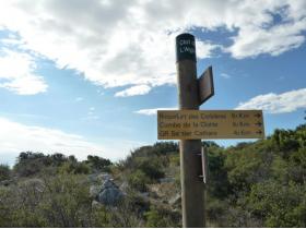 photo coins arrondis