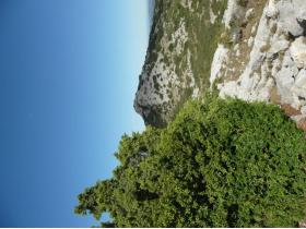 photo coins arrondis