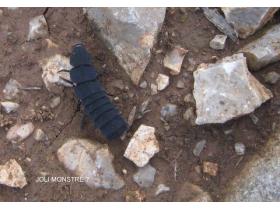 photo coins arrondis