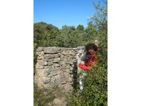 photo coins arrondis