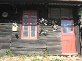 photo coins arrondis