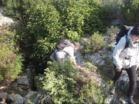 photo coins arrondis