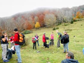 photo coins arrondis