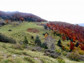 photo coins arrondis