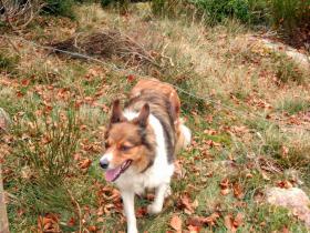 photo coins arrondis