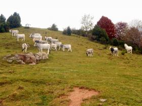 photo coins arrondis