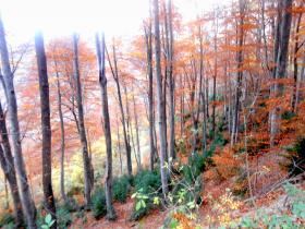 photo coins arrondis