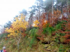 photo coins arrondis