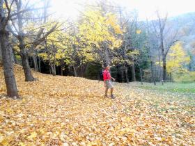 photo coins arrondis