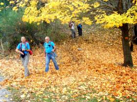 photo coins arrondis