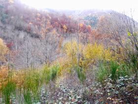 photo coins arrondis