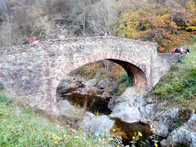 photo coins arrondis