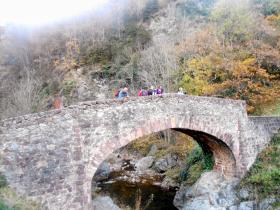 photo coins arrondis