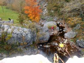 photo coins arrondis