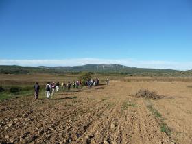 photo coins arrondis