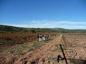 photo coins arrondis