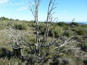 photo coins arrondis