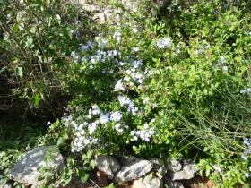 photo coins arrondis