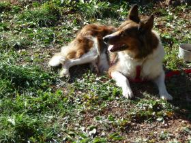 photo coins arrondis