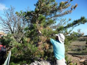 photo coins arrondis