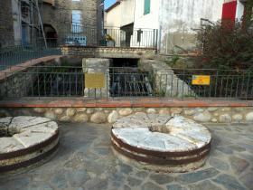 photo coins arrondis